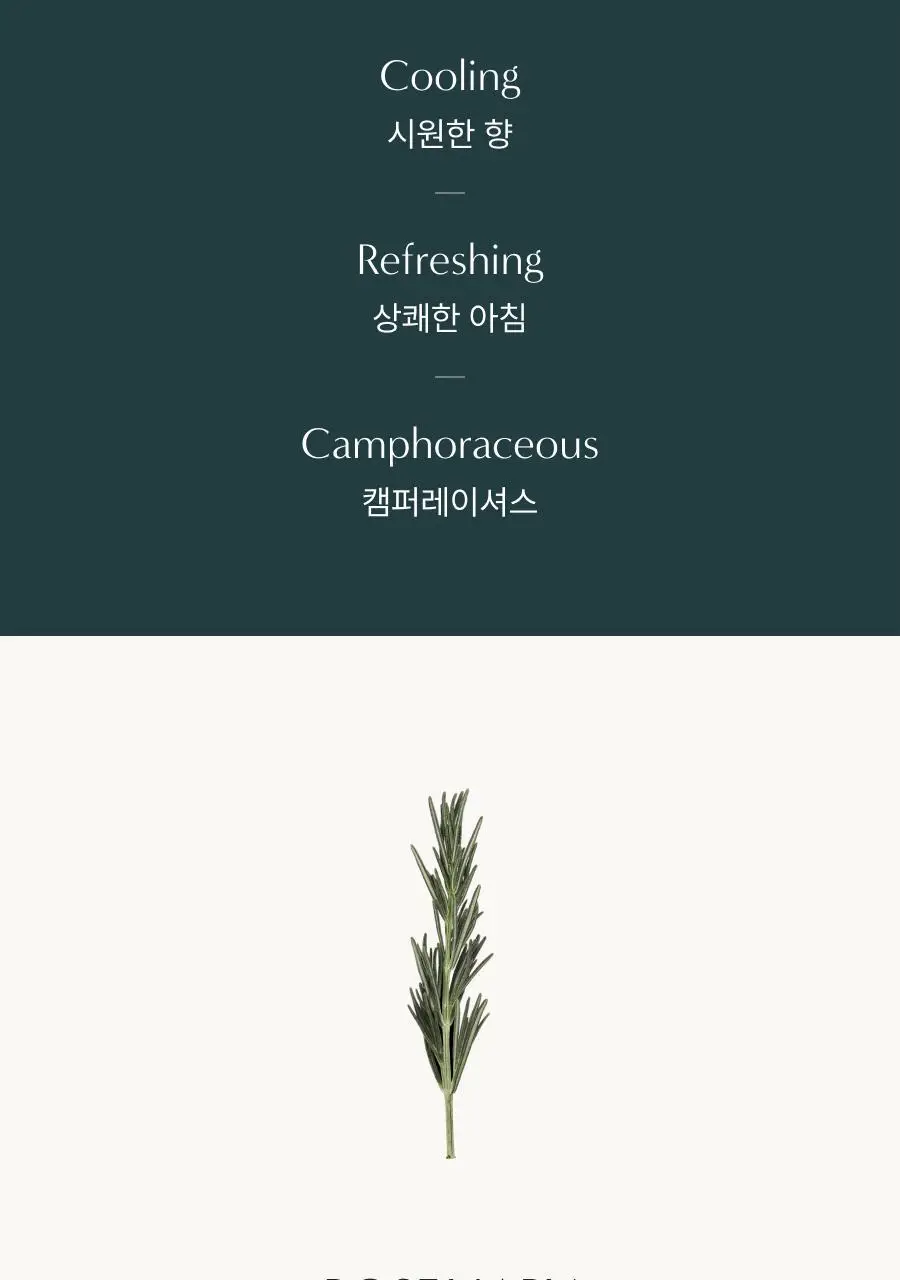 [헤어+바디] 아로마티카 바이탈라이징 로즈마리 올인원 바디워시 300ml 상세페이지 3